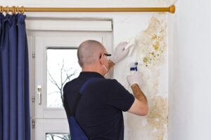 Man stands next to window inspecting mold growth ad water damage on the wall.