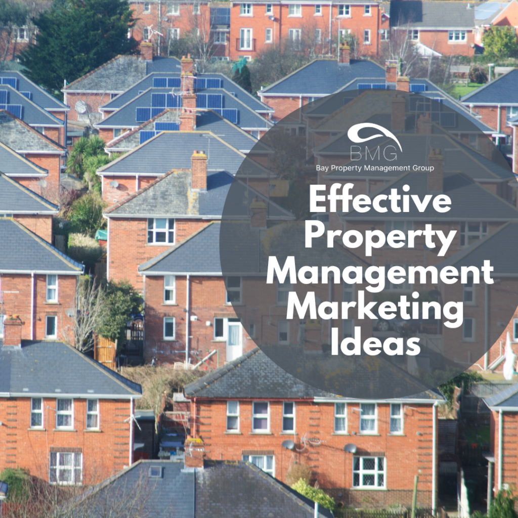 A neighborhood of houses, with many in need of property management.